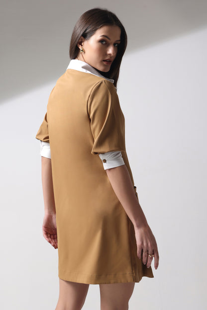 Fit and Flair Pleated Dress