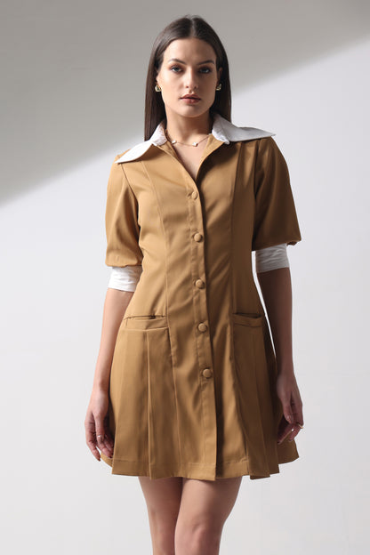 Fit and Flair Pleated Dress