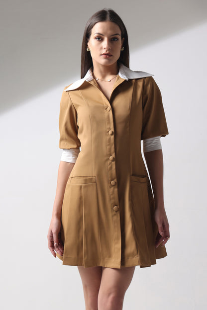 Fit and Flair Pleated Dress