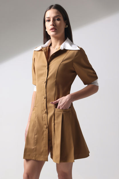 Fit and Flair Pleated Dress