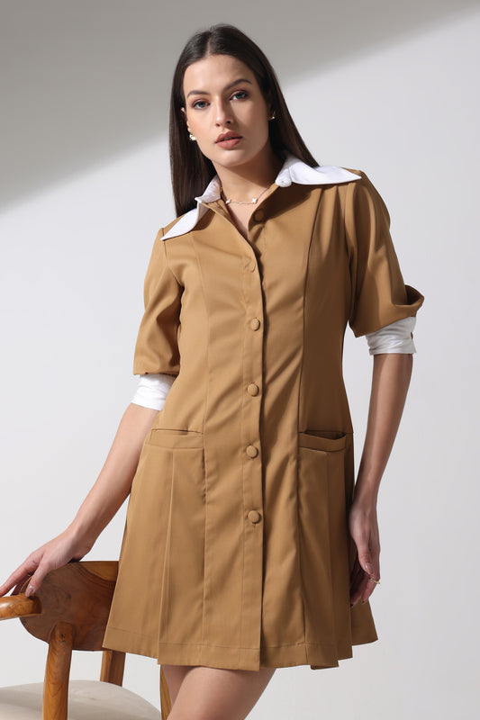 Fit and Flair Pleated Dress
