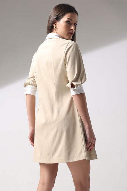 Fit and Flair Pleated Dress